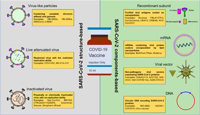 COVID-19 vaccines: current and future challenges